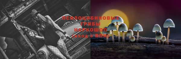 дурь Киреевск