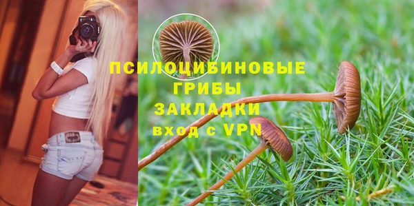 дурь Киреевск