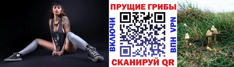 Купить  Любим  Галлюциногенные грибы Magic Shrooms 