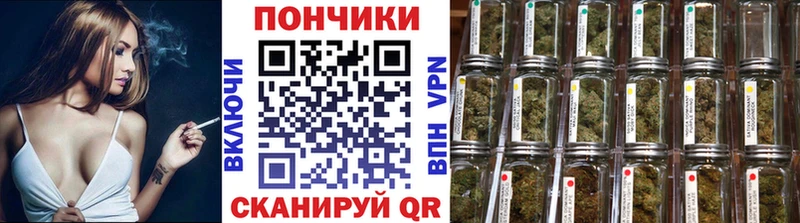 Купить где  Любим  Каннабис планчик 
